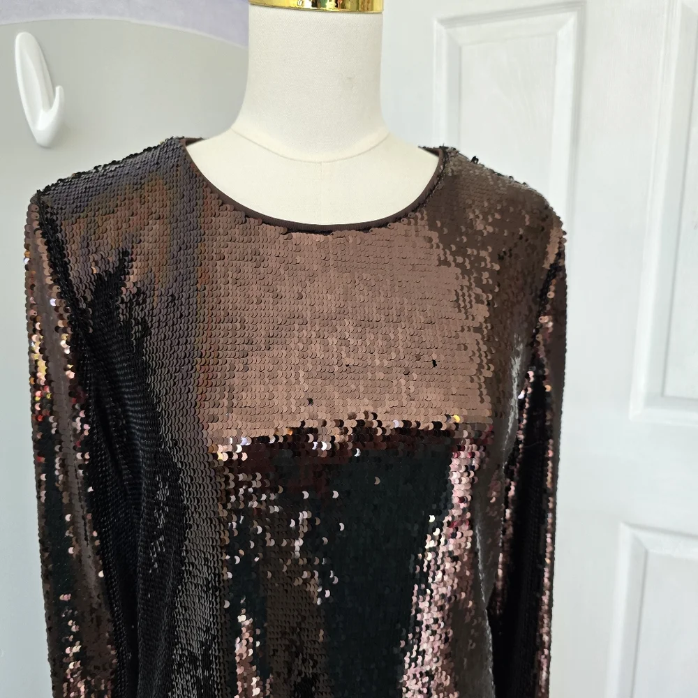 Banana Republic | Large | Chocolate Brown Stretch-Sequin Mini Dress - Picture 3 of 15
